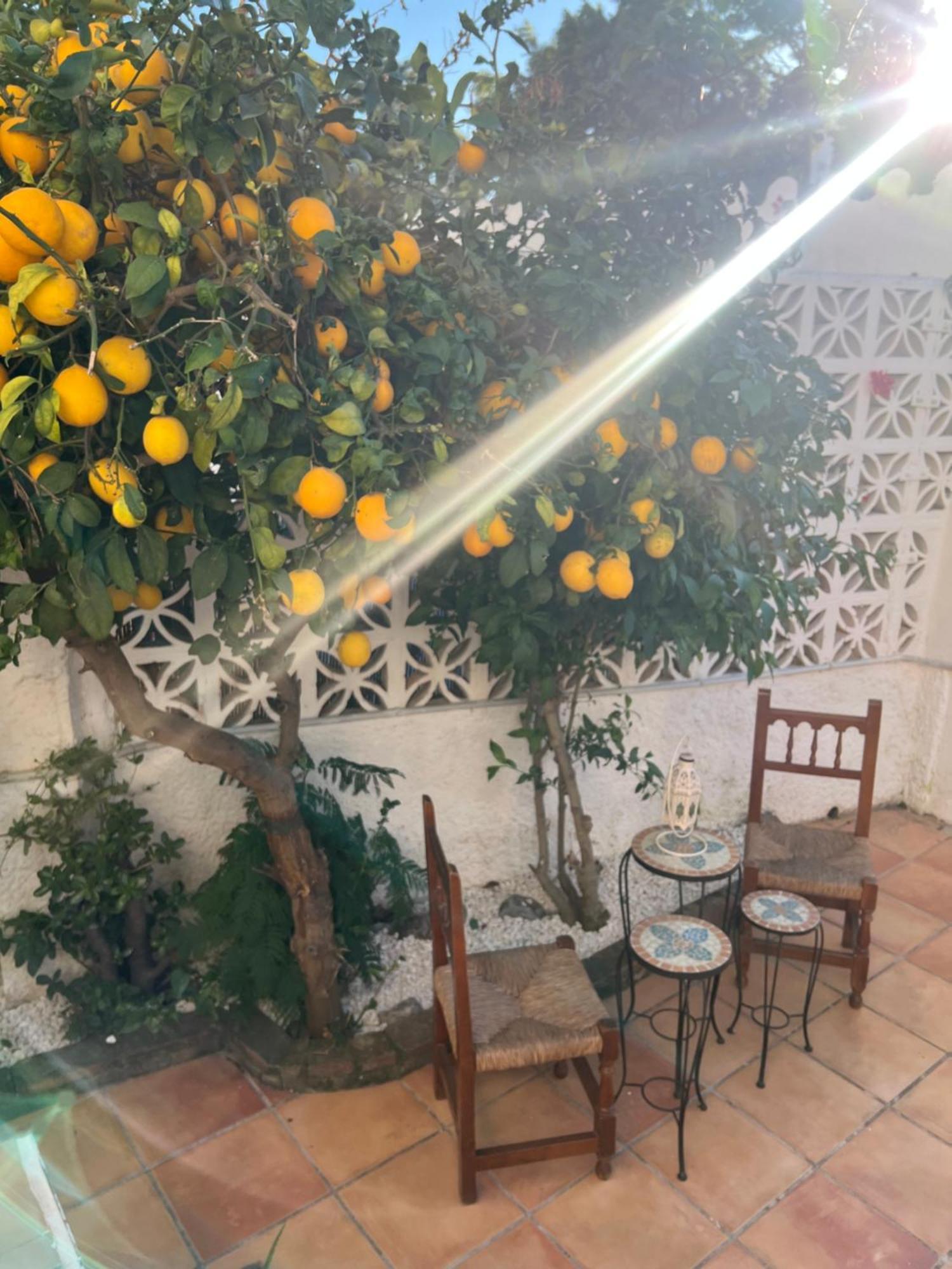 Casa Golf Mediterraneo 贝纳尔马德纳 外观 照片